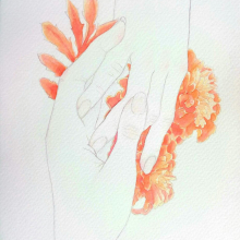 8ySMu9gXQS_H44v2HhnrmKD9f0qtJz9tkd2qdFp9kuLpFpIw2Mvhaqlq9-k43iYk