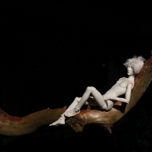 Aebele